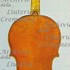 1630cViolino c.jpg 1630cViolino c.jpg