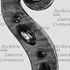1643cViolino d.jpg 1643cViolino d.jpg