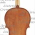1645cViolino c.jpg 1645cViolino c.jpg