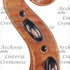 1645cViolino d.jpg 1645cViolino d.jpg