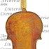 1650Violino2 c.jpg 1650Violino2 c.jpg
