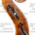 1655Violino3 d.jpg 1655Violino3 d.jpg