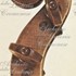 1660VioloncelloMedici d.jpg 1660VioloncelloMedici d.jpg