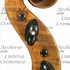 1662Violino7 d.jpg 1662Violino7 d.jpg