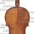 1665Violino2 c.jpg 1665Violino2 c.jpg
