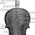 1675cViolino c.jpg 1675cViolino c.jpg