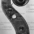 1675cViolino d.jpg 1675cViolino d.jpg
