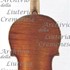 1680cViolino c.jpg 1680cViolino c.jpg