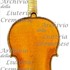 1683cViolinoBucher c1.jpg 1683cViolinoBucher c1.jpg