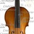 1683cViolinoO'Neill a1.jpg 1683cViolinoO'Neill a1.jpg