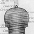 1683ViolinoBâtard c.jpg 1683ViolinoBâtard c.jpg