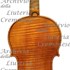 1683ViolinoCobbett c.jpg 1683ViolinoCobbett c.jpg