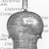 1683ViolinoDeAhna c.jpg 1683ViolinoDeAhna c.jpg