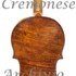 1685 c Violino c.jpg