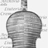 1686ViolinoGoddard c.jpg 1686ViolinoGoddard c.jpg