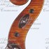 1690VioloncelloMediceo d.jpg 1690VioloncelloMediceo d.jpg