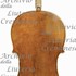 1692VioloncelloSegelman c.jpg 1692VioloncelloSegelman c.jpg