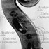 1693Violino2 d.jpg 1693Violino2 d.jpg