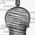 1693ViolinoRies c.jpg 1693ViolinoRies c.jpg