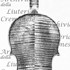 1694ViolinoBenecke c.jpg 1694ViolinoBenecke c.jpg