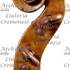 1695cViolino d.jpg 1695cViolino d.jpg