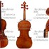 1695cViolino e2.jpg 1695cViolino e2.jpg