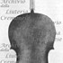 1696Cello c.jpg 1696Cello c.jpg