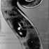 1700cViolino5 d.jpg 1700cViolino5 d.jpg