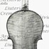 1706Violino c.jpg 1706Violino c.jpg