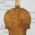 1710cViolino2 c.jpg 1710cViolino2 c.jpg