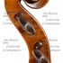 1710cViolino3 d.jpg 1710cViolino3 d.jpg