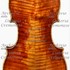 1710cViolino5 c.jpg 1710cViolino5 c.jpg