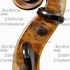 1710cViolino d.jpg 1710cViolino d.jpg