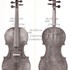1710cViolino g1.jpg 1710cViolino g1.jpg