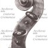 1710cViolino g2.jpg 1710cViolino g2.jpg