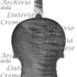1711Violino3 c.jpg 1711Violino3 c.jpg