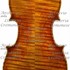 1712ViolinoBoyle c1.jpg 1712ViolinoBoyle c1.jpg