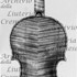 1714Violino2 c.jpg 1714Violino2 c.jpg
