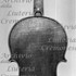 1714ViolinoCarrodus c.jpg 1714ViolinoCarrodus c.jpg