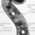 1714ViolinoLeonard d.jpg 1714ViolinoLeonard d.jpg