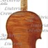 1715cViolino2 c.jpg 1715cViolino2 c.jpg