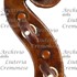 1715Violino2 d.jpg 1715Violino2 d.jpg