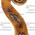 1716ViolinoSerdet d1.jpg 1716ViolinoSerdet d1.jpg