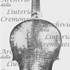 1723Violino5 c.jpg 1723Violino5 c.jpg