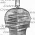 1725-31ViolinoTrombetta c.jpg 1725-31ViolinoTrombetta c.jpg
