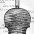 1730ViolinoRode c.jpg 1730ViolinoRode c.jpg