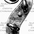 1732ViolinoFerni d.jpg 1732ViolinoFerni d.jpg