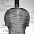 1732ViolinoParlow c.jpg 1732ViolinoParlow c.jpg