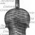 1733Violino c.jpg 1733Violino c.jpg
