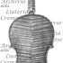 1734ViolinoKreisler c.jpg 1734ViolinoKreisler c.jpg
